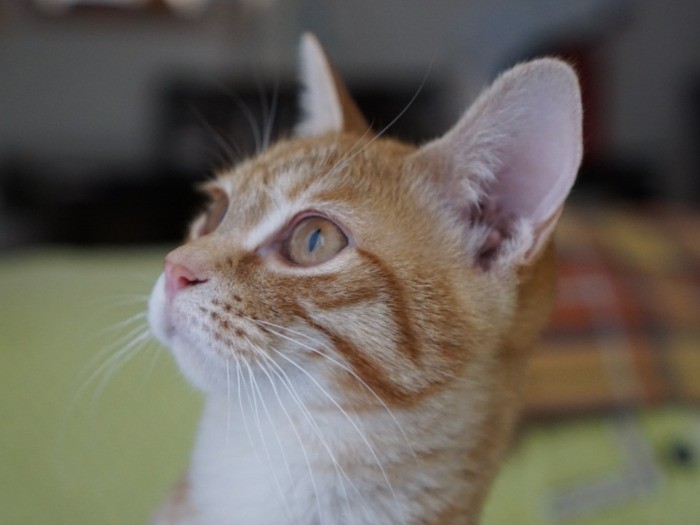 これからは楽しいことばかりだね