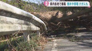 １２日に宮城県で暴風　各地で倒木や停電などの被害