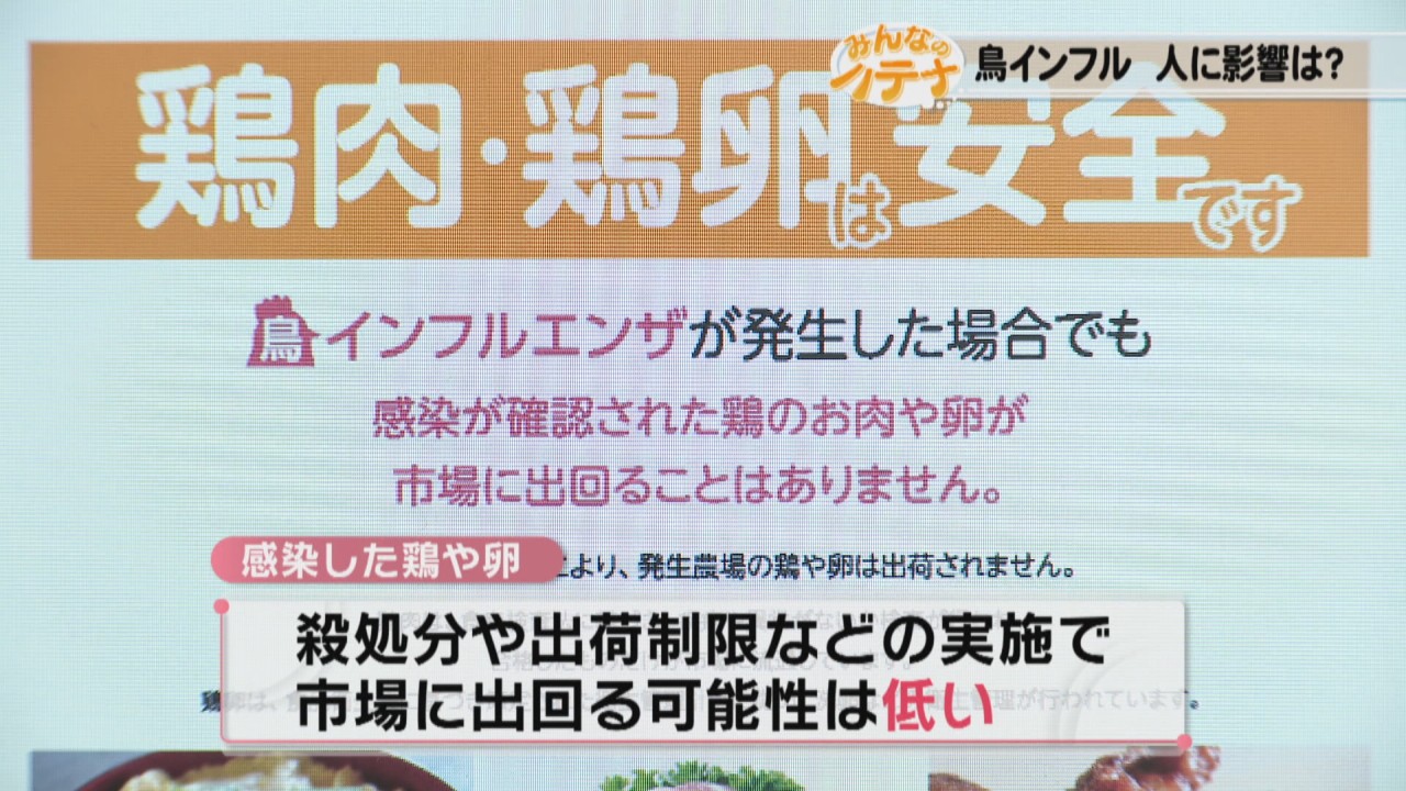 鳥 インフルエンザ なぜ 殺 処分