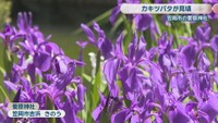菅原神社　笠岡市吉浜　5日