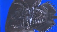 3Dデータのカブトガニ