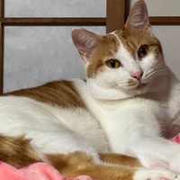 優しい顔立ちのかりんちゃん