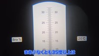 糖度計は完全に振り切っている。少なくとも35度以上はある模様／ちーとん。さん提供