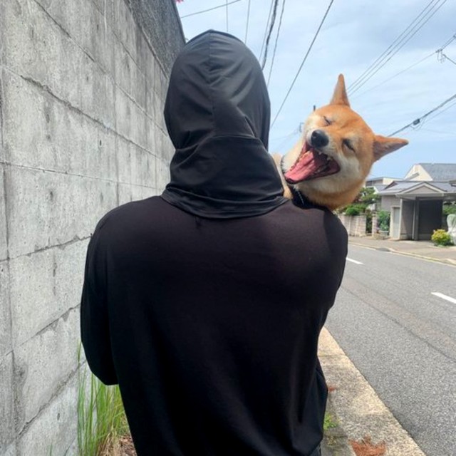 飼い主さんに抱っこされて笑みを浮かべる禄くん（画像提供：柴犬 ろくさん）