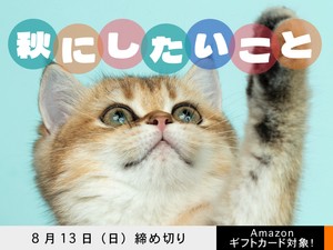 【アマギフ対象】「秋にしたいこと」でエッセイ募集！8月13日（日）締切