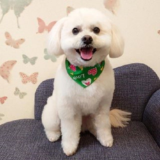 普段のだいすけ