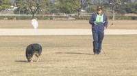 嘱託警察犬の選考競技会　丸亀市