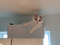 おふろに入っていますよ（提供写真）