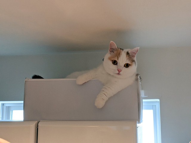 おふろに入っていますよ（提供写真）