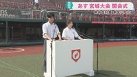 夏の高校野球宮城大会　９日に開会式　準備が進む