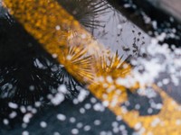 小学生女子、恐怖のコミュニケーション。和らげたのは1日15分の日課