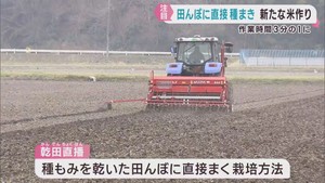 種もみを直接田んぼにまく乾田直播　米作りの負担を軽減　宮城・石巻市