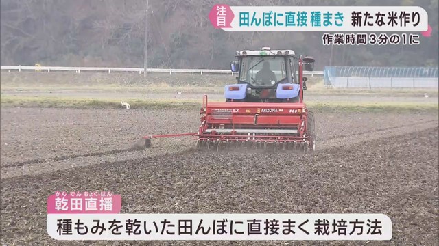 種もみを直接田んぼにまく乾田直播　米作りの負担を軽減　宮城・石巻市