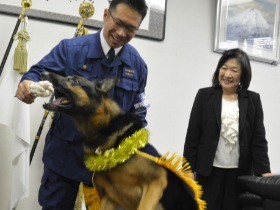 お手柄の警察犬、ラッキーに感謝状　不明の中学生発見