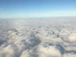 空飛ぶモルモット