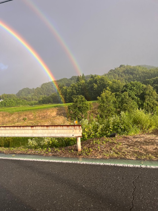 虹に根元があったなんて…（どんぐり政子さん提供）