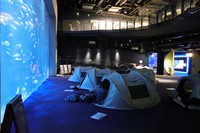 四国水族館に泊まるキャンプ体験！ 夜の水族館　　香川・宇多津町