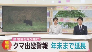 クマの出没警報　１２月末まで延長　目撃情報が過去最多の宮城県