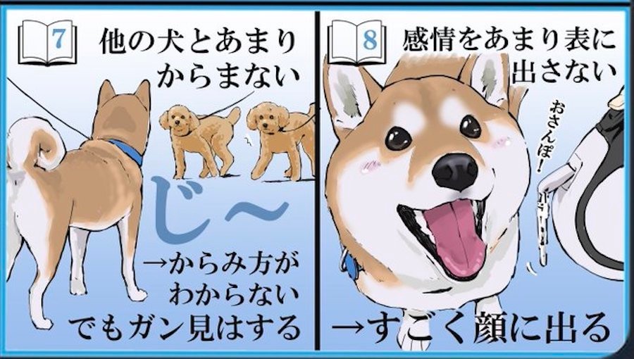 漫画 柴犬を飼う前との認識の補正 に共感の声殺到 柴犬あるある そこがかわいい まいどなニュース