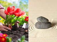 ガーデニング（左）＝（Alexander Raths/adobe.stock.com）、禅庭園（arkgarden/adobe.stock.com）