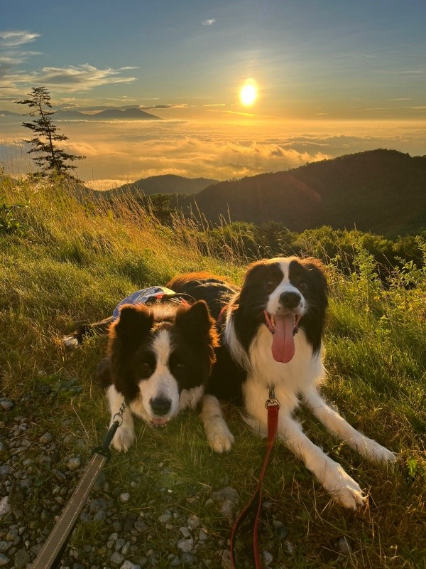 ご来光を背景にパシャリ！ （左から）兄犬・アッシュくん、ディークスくん（画像提供：A&Dさん）