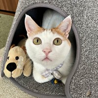 ぬいぐるみのお友達とくつろぐむぎくん（画像提供：むぎさん）