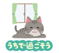 猫ちゃんは安全なおうちの中で大事にされていてほしい