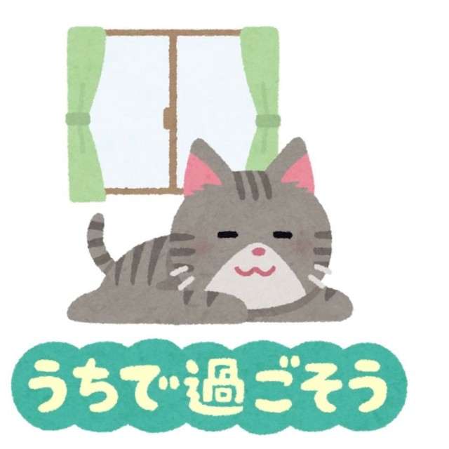 猫ちゃんは安全なおうちの中で大事にされていてほしい