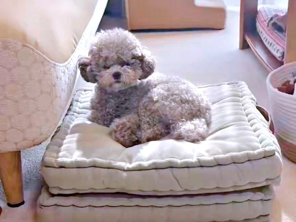 ヴァイオリンの音に耳をかたむけるエマちゃん（画像提供：エマです！さん）