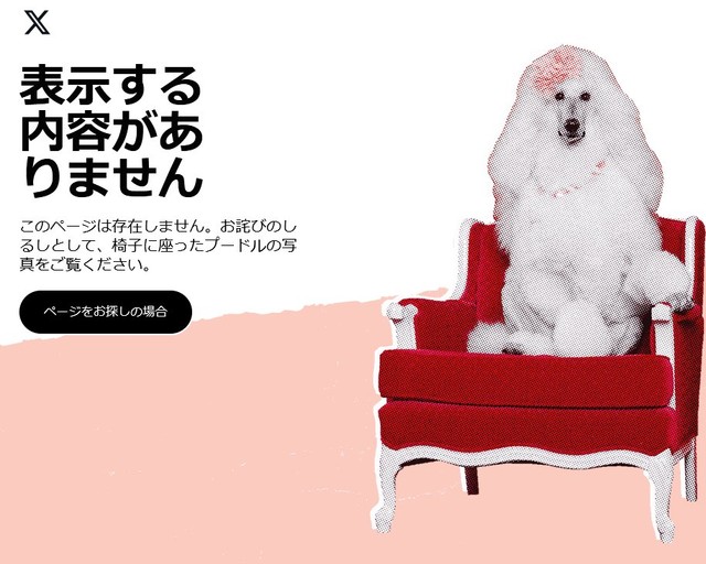 「お詫びのしるしとして椅子に座ったプードルの写真をご覧ください」