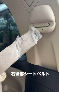 右後部シートベルト（「Melody’s mom」さん提供、Instagramよりキャプチャ撮影）