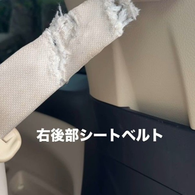 右後部シートベルト（「Melody’s mom」さん提供、Instagramよりキャプチャ撮影）