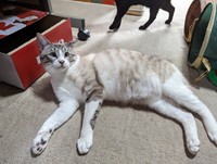 生後８か月のななくん