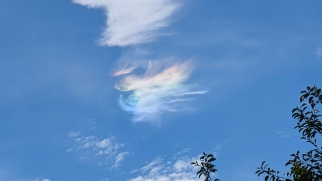 梅雨の晴れ間に虹色の帯　「環水平アーク」を観測　香川