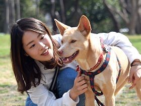 元SKE48桑原さん　元保護犬と暮らし「殺処分ゼロ」訴える