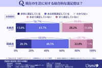 現在の生活に対する総合的な満足度（提供画像）