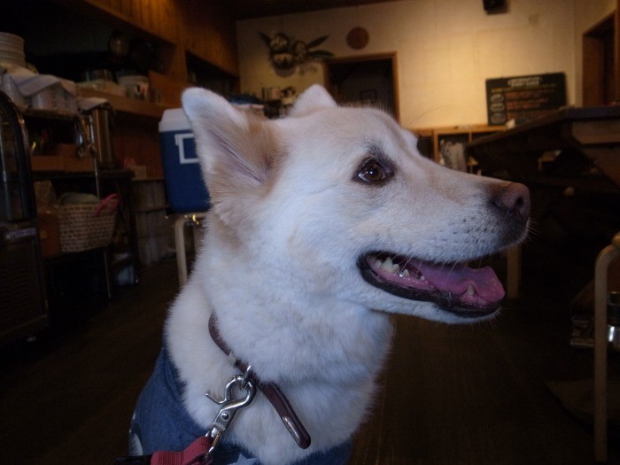 ママとお話するのが大好き