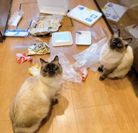 これは！（もきゅさん提供）