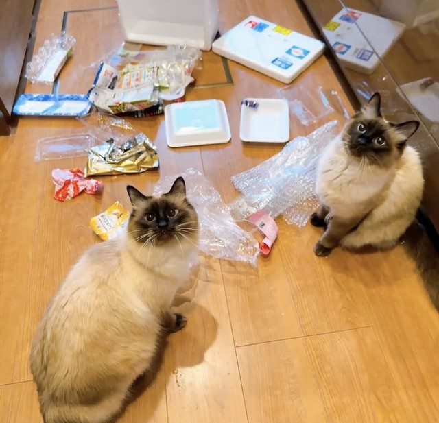 これは！（もきゅさん提供）