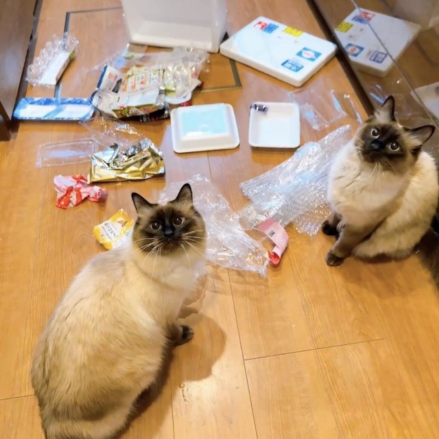 これは！（もきゅさん提供）