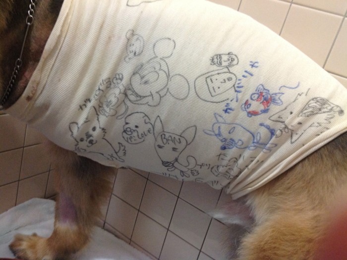 番長の断脚でしょんぼりしていたスタッフたちも、包帯に落書きすることで明るい気持ちに（三橋さん提供）