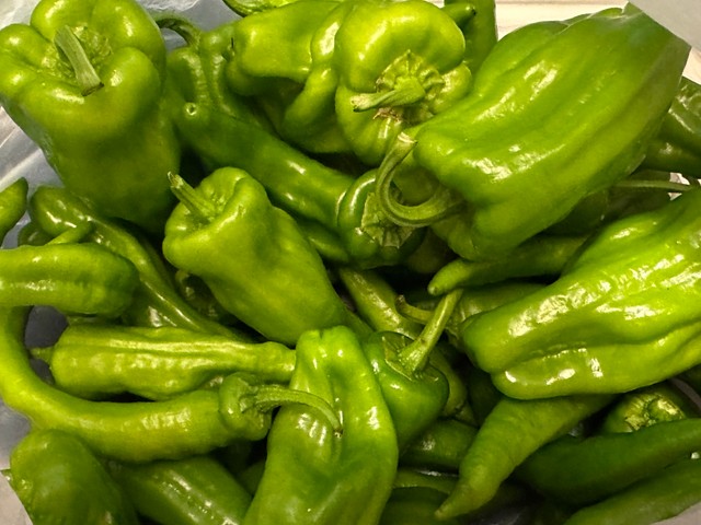 みなさんは判別できますか？（騎空士鮫ミンよりも遠い場所提供）