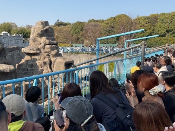 パンチくんを一目見ようとサル山を取り囲む来場者たち／市川市動植物園　公式X（@ichikawa_zoo）より