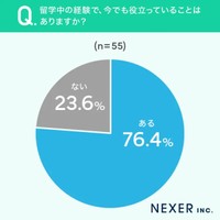 留学中の経験で役立つこと（提供画像）