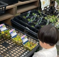 「触らないで見ようね」と言われた2歳息子は…（提供：ハトドケイさん）※一部トリミング

