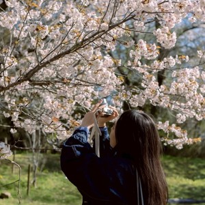 大村咲由良