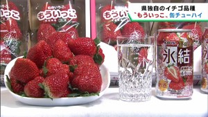 宮城県産イチゴもういっこの果汁を使用　期間限定の缶チューハイ発売