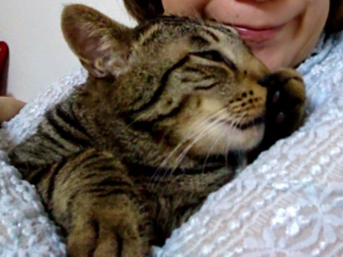 そしてママに甘えるんだ