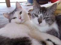 仲睦まじい姿に、ほっこり