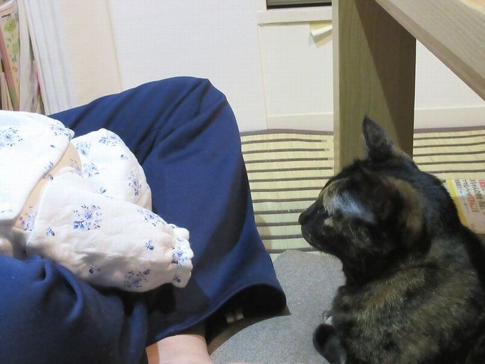 夫の膝の順番待ち